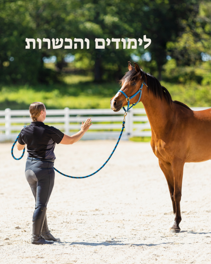 לימודים והכשרות בחווה רכיבה על סוסים בצפון